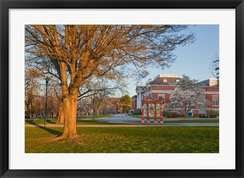 Framed Education, University of New Hampshire Print