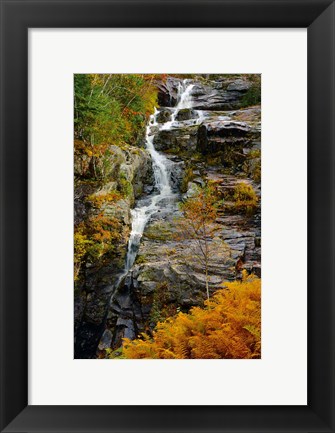 Framed Autumn at Silver Cascade, Crawford Notch SP, New Hampshire Print