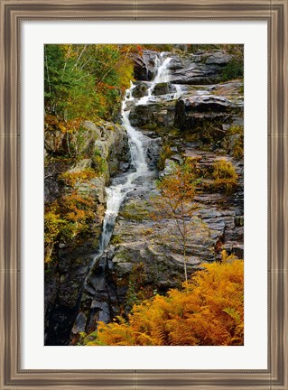 Framed Autumn at Silver Cascade, Crawford Notch SP, New Hampshire Print