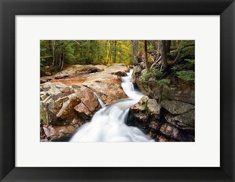 Framed Autumn on Pemigewasset River, Franconia Notch SP, New Hampshire Print