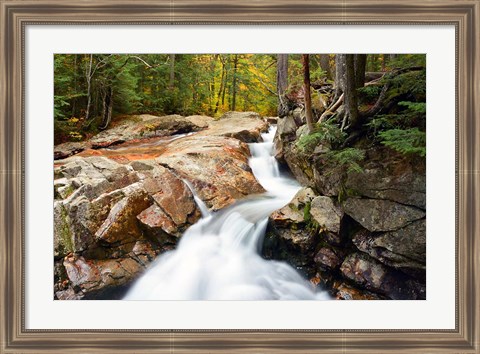 Framed Autumn on Pemigewasset River, Franconia Notch SP, New Hampshire Print