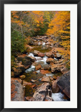 Framed Liberty Gorge, Franconia Notch State Park, New Hampshire Print