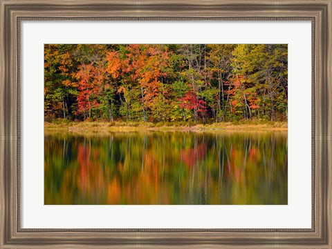 Framed Reflected autumn colors at Echo Lake State Park, New Hampshire Print