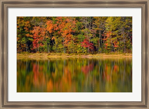 Framed Reflected autumn colors at Echo Lake State Park, New Hampshire Print