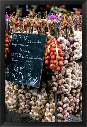 Framed Ropes of Garlic in Local Shop, Nice, France Print