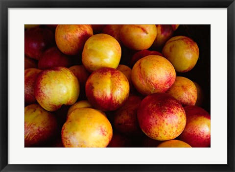 Framed Plums at an Outdoor Market, Nice, France Print