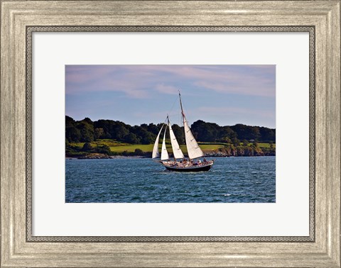 Framed Sailing in Newport, Rhode Island Print