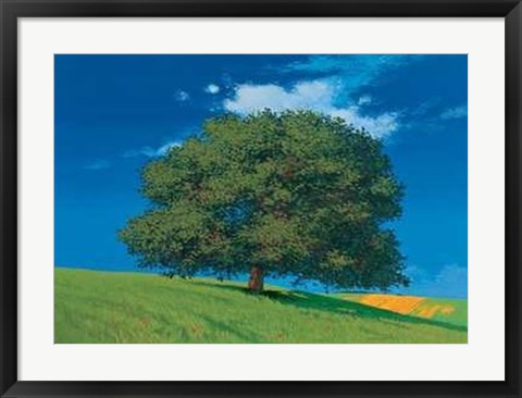 Framed Albero Sul Pendio Print