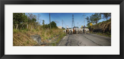 Framed Men with Horses on Road, Costa Rica Print