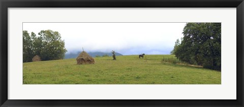 Framed Horse in a Field, Transylvania, Romania Print