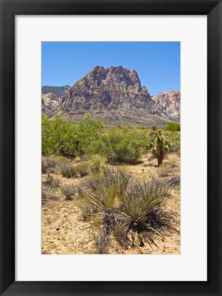 Framed Red Rock Canyon National Conservation Area, Las Vegas, Nevada Print