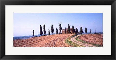 Framed Trees on a Hill, Tuscany, Italy Print