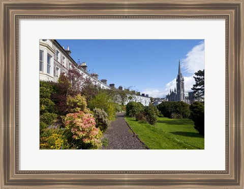 Framed St Coleman&#39;s Cathedral Beyond, County Cork, Ireland Print