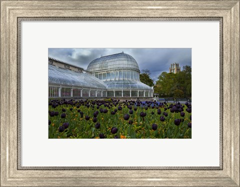 Framed Palm House in the Botanic Gardens, Northern Ireland Print