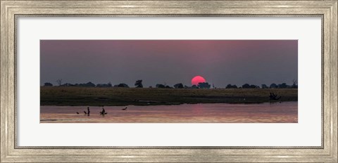 Framed River at Dusk, Chobe River, Botswana Print