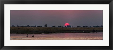 Framed River at Dusk, Chobe River, Botswana Print