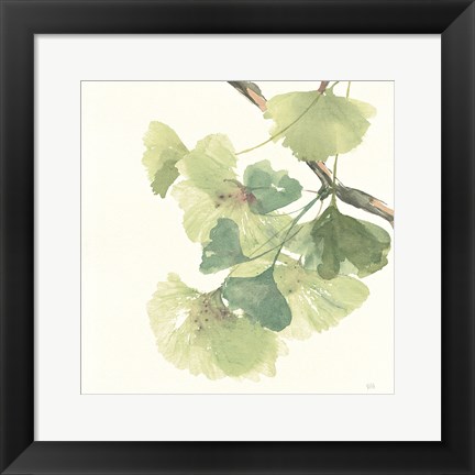 Framed Gingko Leaves II Light Print