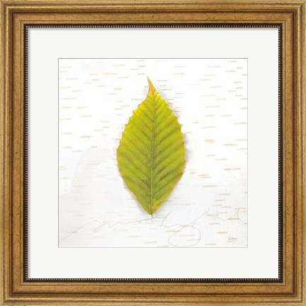 Framed Autumn Colors IV Print