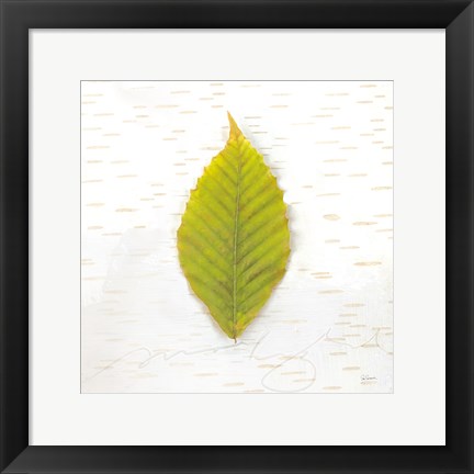 Framed Autumn Colors IV Print