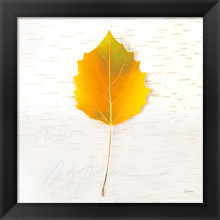 Framed Autumn Colors III Print