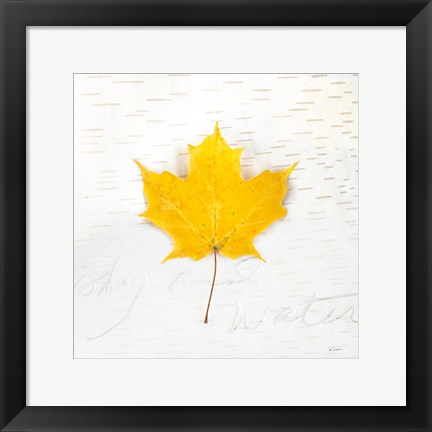 Framed Autumn Colors II Print