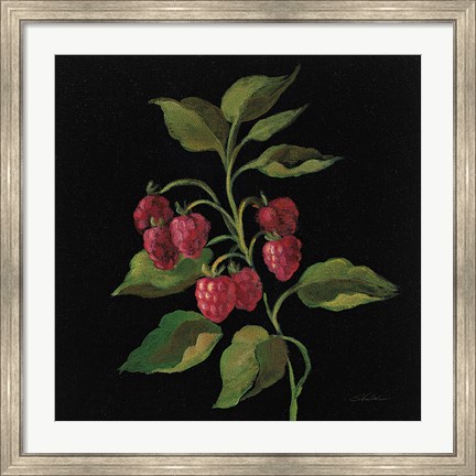 Framed Framboise no Words Print