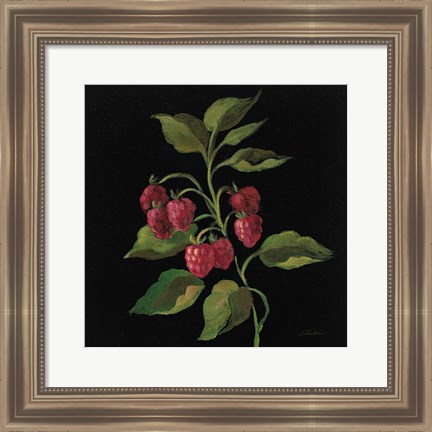 Framed Framboise no Words Print