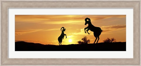 Framed Bighorn Sheep Sculptures, Borrego Springs, California Print