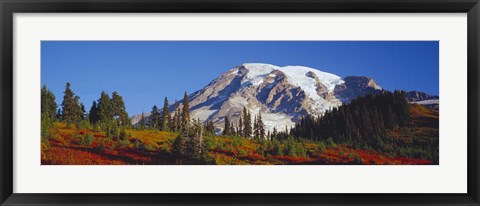 Framed Mt. Rainier and Fall Color, WA Print