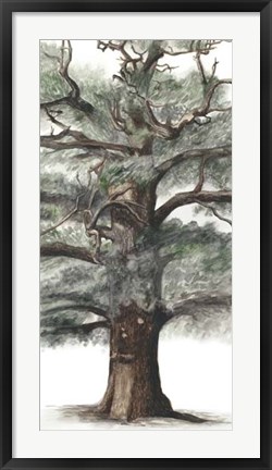 Framed Oak Tree Composition I Print