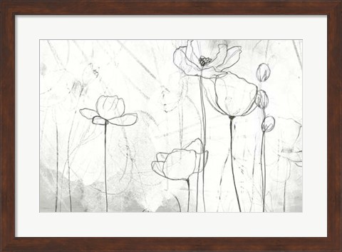 Framed Poppy Sketches II Print