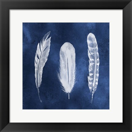 Framed Cyanotype Feathers I Print