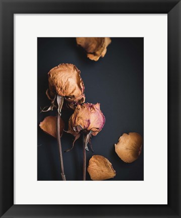 Framed Wilted Dreams I Print