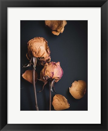 Framed Wilted Dreams I Print