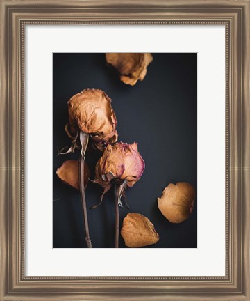 Framed Wilted Dreams I Print