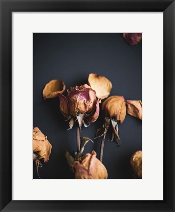 Framed Wilted Dreams II Print