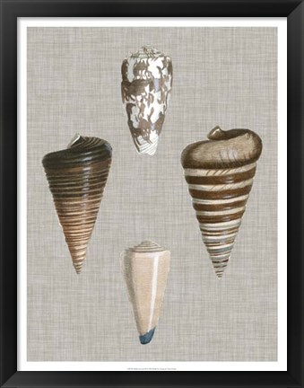 Framed Shells on Linen III Print