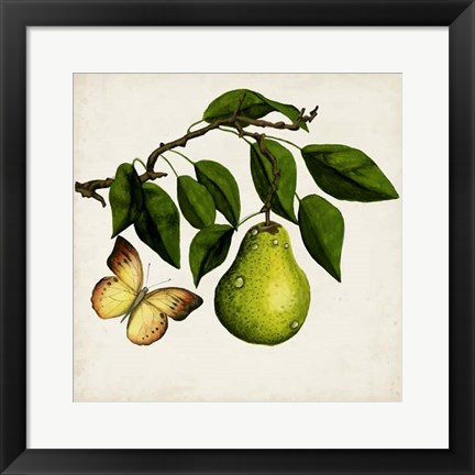 Framed Fruit with Butterflies I Print