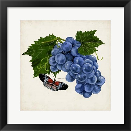 Framed Fruit with Butterflies II Print