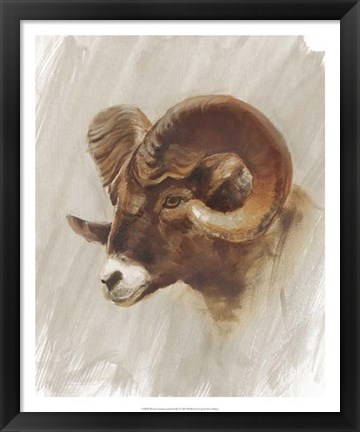 Framed Western American Animal Study I Print