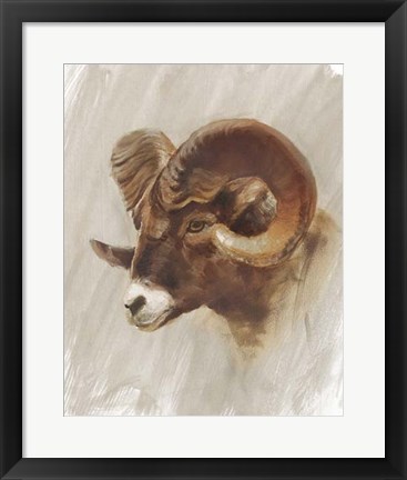 Framed Western American Animal Study I Print