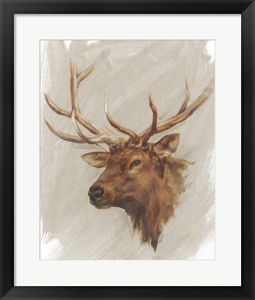 Framed Western American Animal Study IV Print