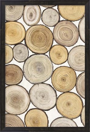 Framed Tree Ring Study I Print