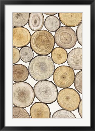 Framed Tree Ring Study I Print