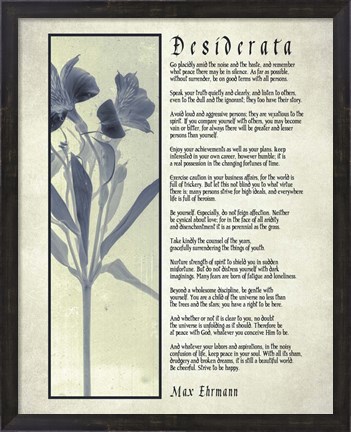 Framed Desiderata Blue Daguerreotype Print