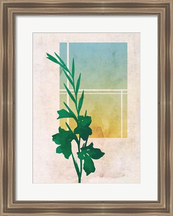 Framed Ombre Gladiolus Flowers Print