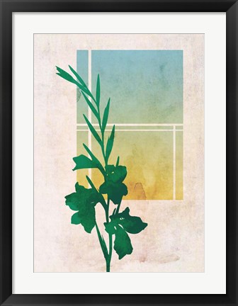 Framed Ombre Gladiolus Flowers Print