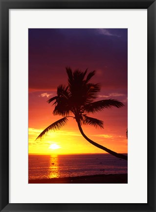 Framed Sunset and Palm Trees, Coral Coast, Viti Levu, Fiji Print