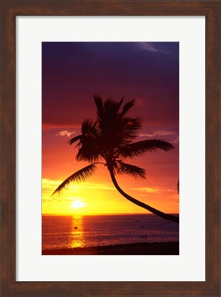 Framed Sunset and Palm Trees, Coral Coast, Viti Levu, Fiji Print