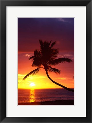 Framed Sunset and Palm Trees, Coral Coast, Viti Levu, Fiji Print